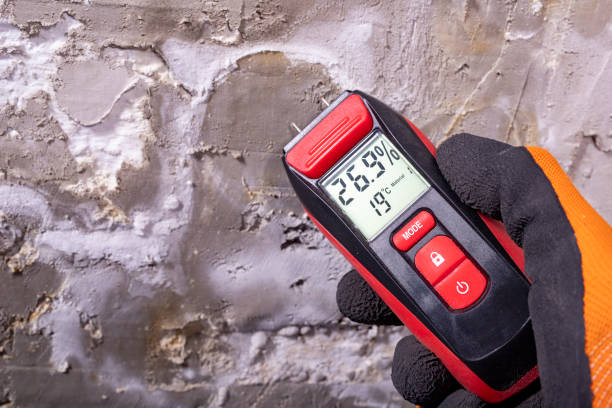 Best Affordable Mold Removal  in Georgetown, IN