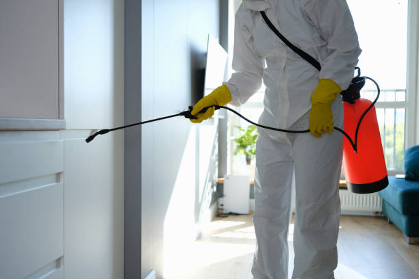 Best Mold Remediation  in Georgetown, IN