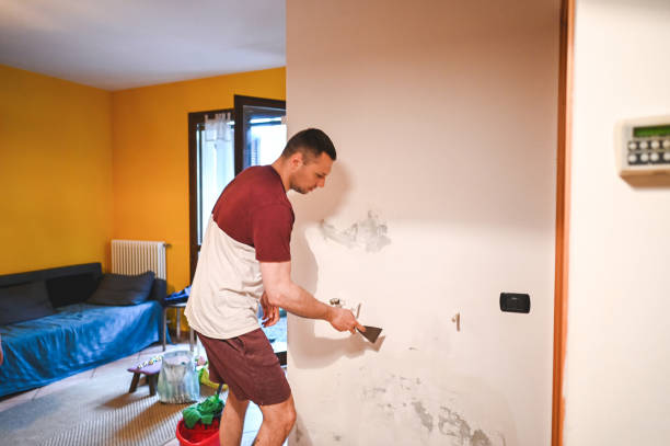 Certified Mold Removal in Georgetown, IN
